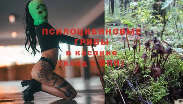 Альфа ПВП Арсеньев