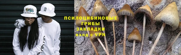 прущий лед Аркадак